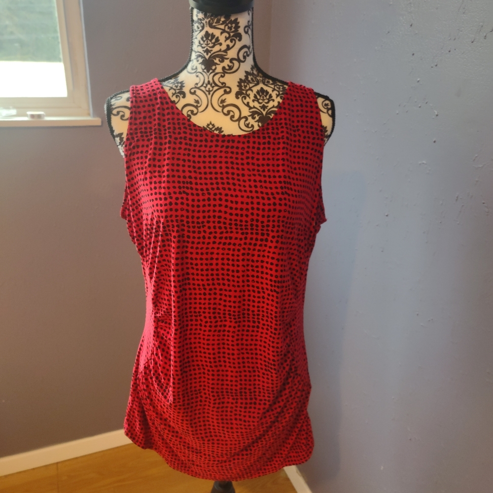 The Limited Red and Black Blouse